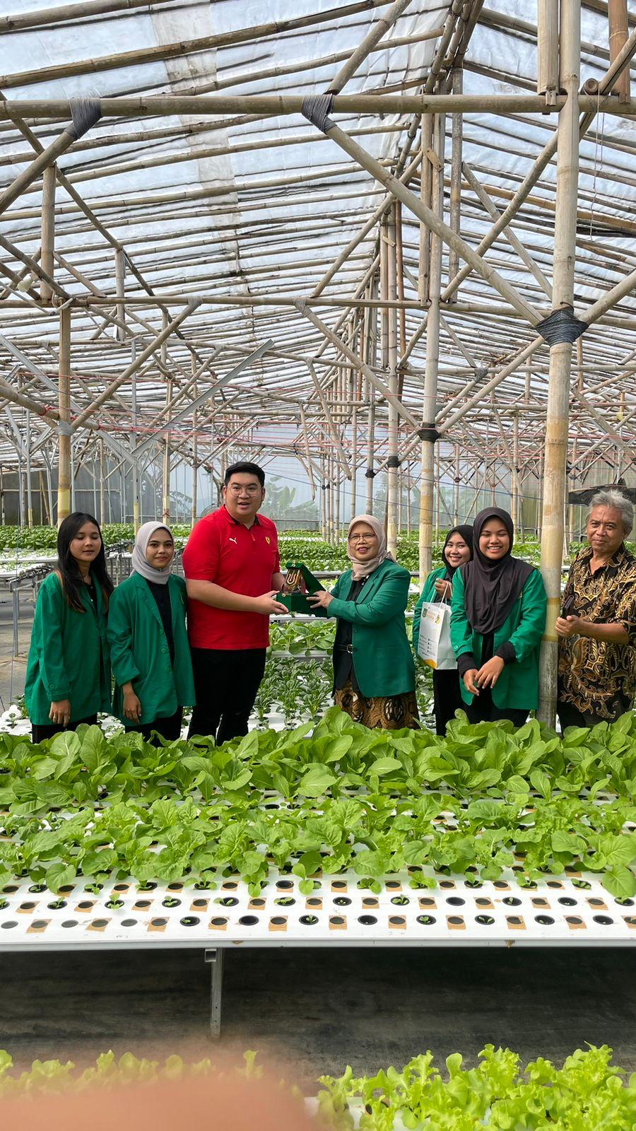 Read more about the article Monev Magang di Forever Green farm